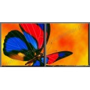 Модульная картина: бразильская бабочка